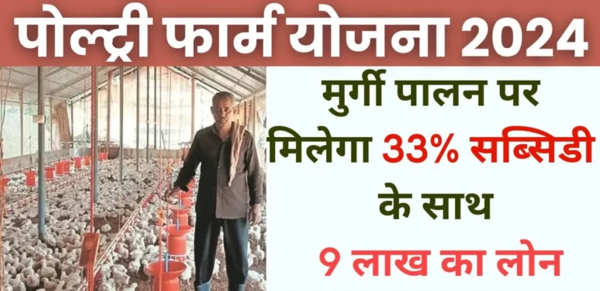 Poultry Farm Yojana 2024: 9 लाख रुपये का मुर्गी पालन ऋण, 33% सब्सिडी के साथ, यहां पढ़ें, government job portal details sarkariclerks