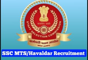 SSC MTS Vacancy 2024 (Notification PDF Out) Online Apply for 8326 MTS and Havaldar Posts, government job portal details sarkariclerks.