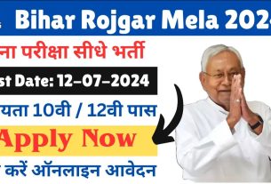 Bihar Rojgar Mela 2024: government job portal details sarkariclerks.